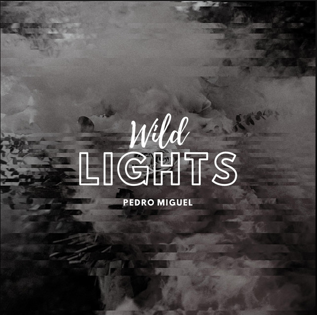 Wild Lights